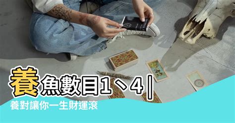 魚數目 風水|三界五行：養魚數目 1丶4、6、9最佳？